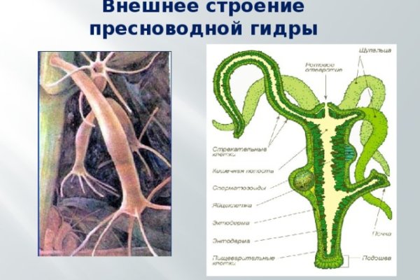 Кракен даркнет площадка ссылка